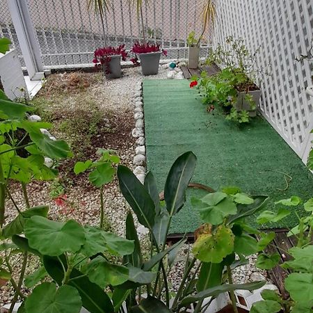 Vila Casa Inteira 2 Dorm Minimo 3 Dias Curitiba Exteriér fotografie